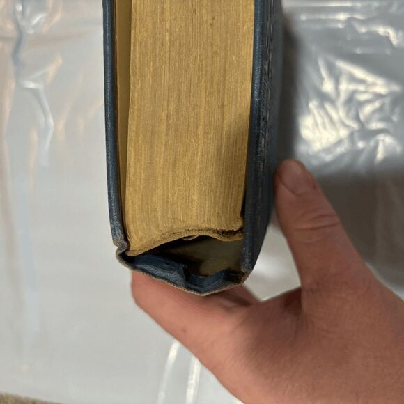 Vintage 1917 Elaine Sterne "The Road Of Ambition" 1st edition Ill Ray N. Jackson - Picture 8 of 11